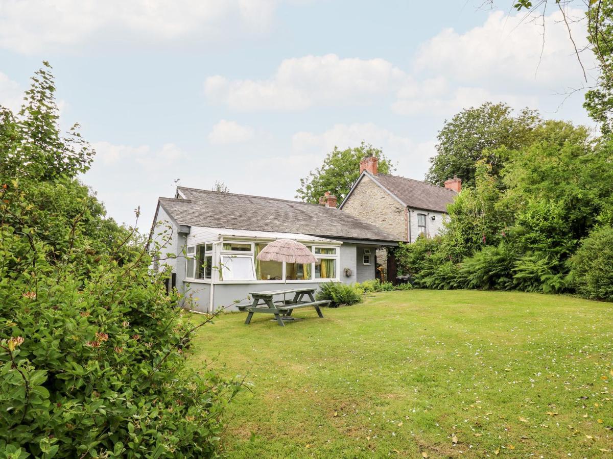 Villa Maesgwyn Cardigan Esterno foto